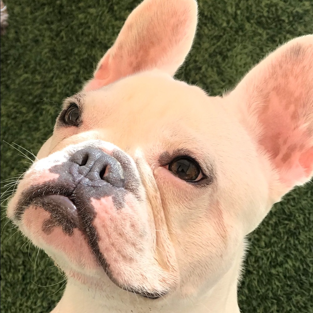 Meet your Posher, Chloe